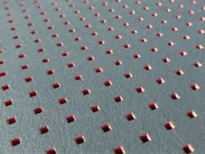 Illustration perforate - Image 3