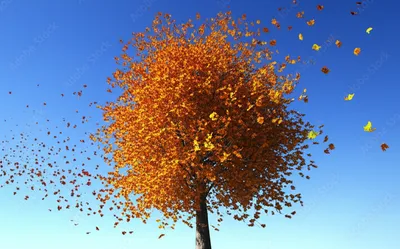 Illustration shedding