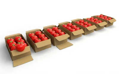 Illustration multiplies - Image 1