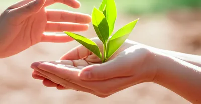 Illustration lending - Image 1