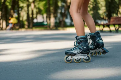 Illustration sculled - Image 1