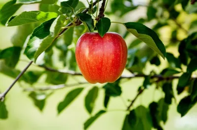 Illustration physically - Image 1