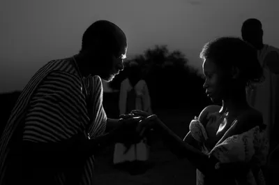 Illustration hyaena - Image 1