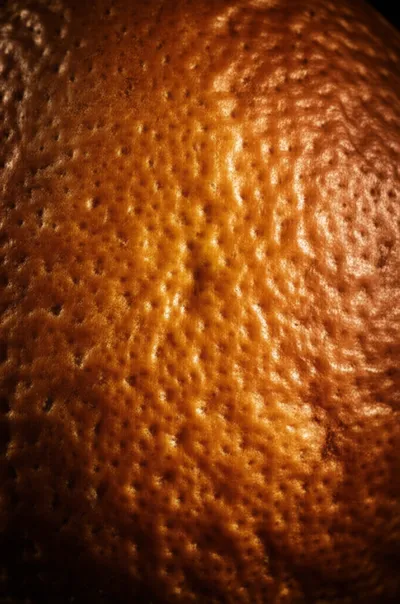 Illustration pitted - Image 1