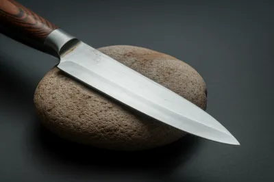 Illustration dulls - Image 1