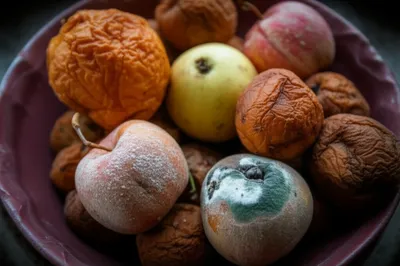 Illustration appalling - Image 1