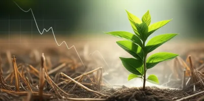 Illustration cheapest - Image 1