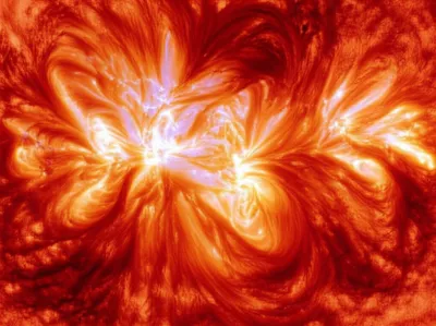 Illustration spicula - Image 1