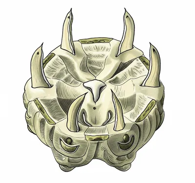 Illustration lanterns - Image 1