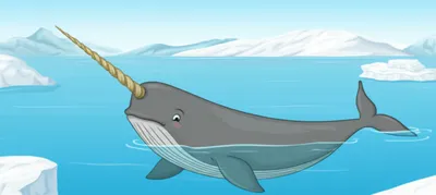 Illustration narwhal - Image 1