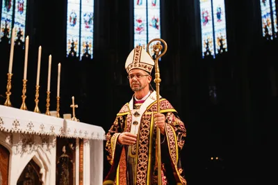 Hình ảnh minh họa vested - Ảnh 1