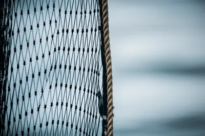 Illustration ms - Image 1