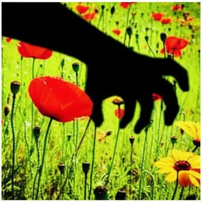 Illustration visited - Image 1