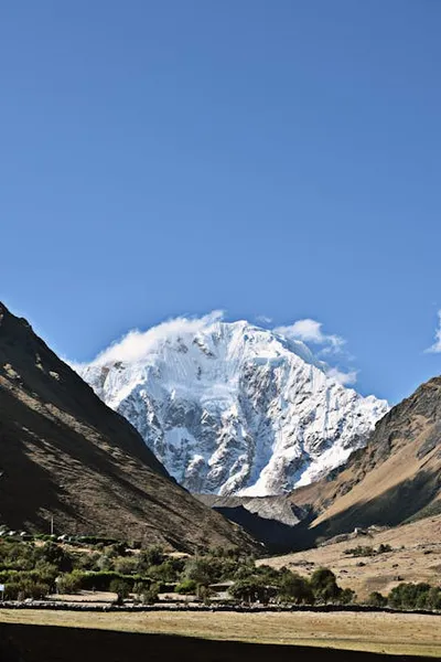 Illustration upland - Image 2