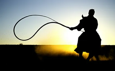 Illustration slash - Image 1