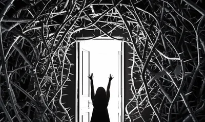 Illustration barred - Image 1