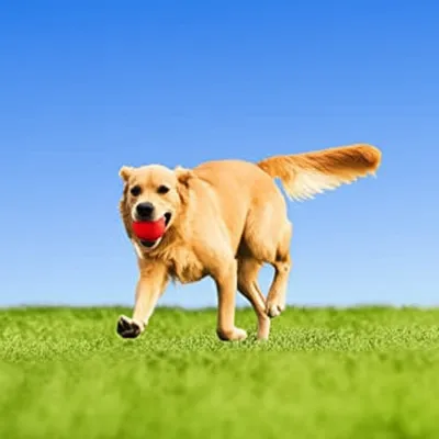 Illustration retrieve - Image 1