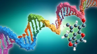 Illustration ribose - Image 1