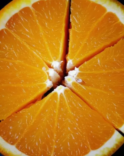 Illustration segments - Image 1