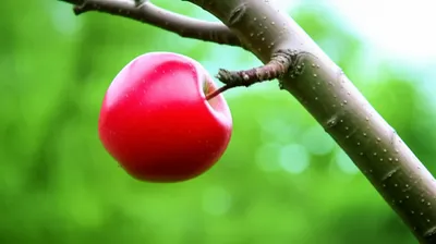 Illustration detaching - Image 1