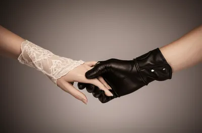 Illustration versatile - Image 1