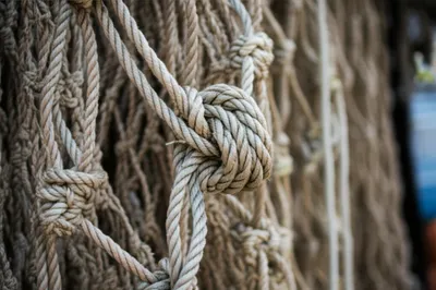 Illustration baulks - Image 1