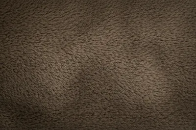 Illustration moleskins