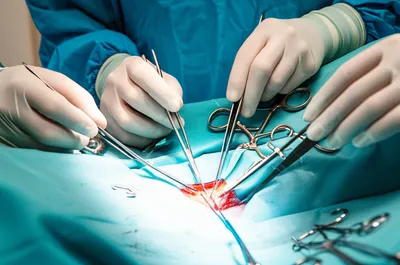 Illustration adroitness - Image 2