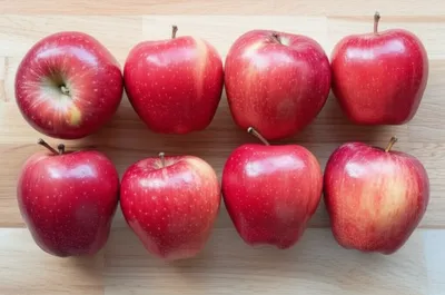 Illustration octets - Image 1