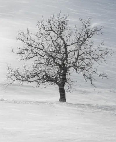 Illustration rigour - Image 1