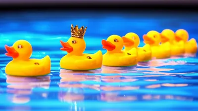 Illustration nth - Image 1