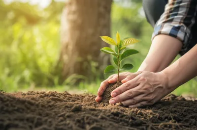 Illustration use - Image 1