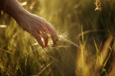 Illustration tingling