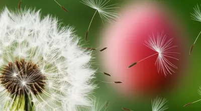 Illustration resolve - Image 1