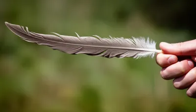 Illustration spears - Image 1