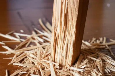 Illustration gnawing - Image 1