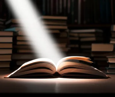 Illustration focussed - Image 1