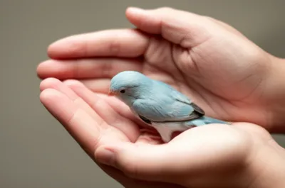 Illustration handling - Image 1