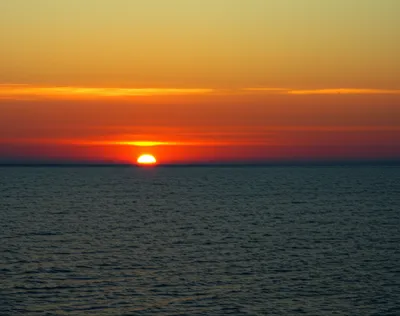 Illustration diminishes - Image 1