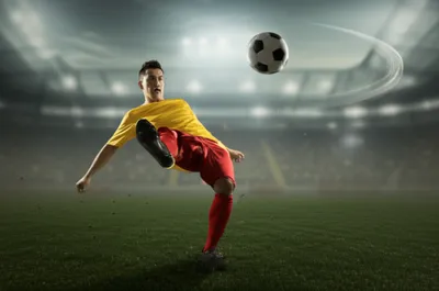 Illustration slice - Image 1