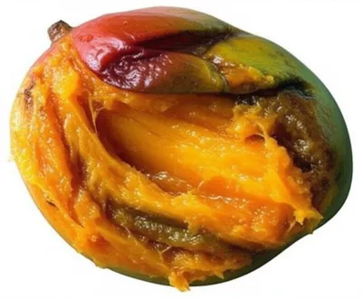 Illustration pulp - Image 1