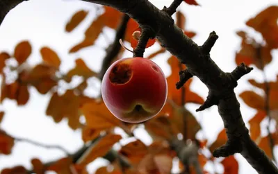 Illustration lowering - Image 1