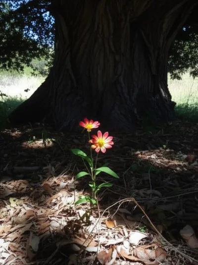 Illustration overlooked - Image 1