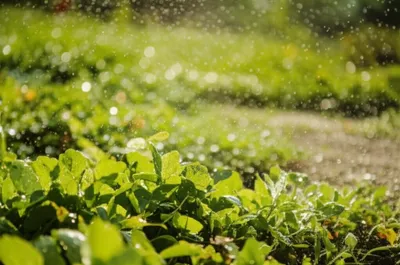 Illustration drizzles - Image 1