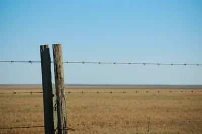 Illustration wires - Image 1