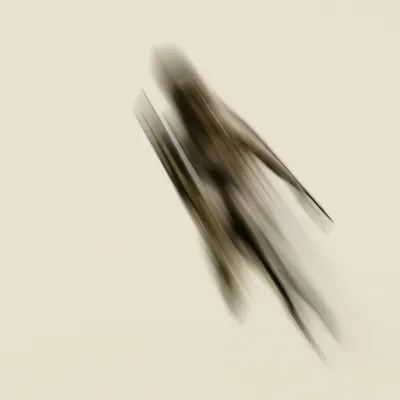 Illustration crossings - Image 1