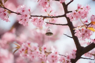 Illustration tingles - Image 1