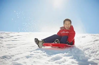 Illustration trays - Image 1