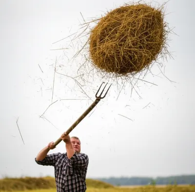 Illustration pitchforked