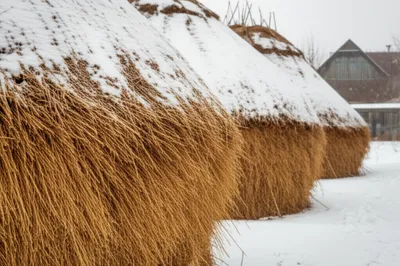 Illustration ricks - Image 1